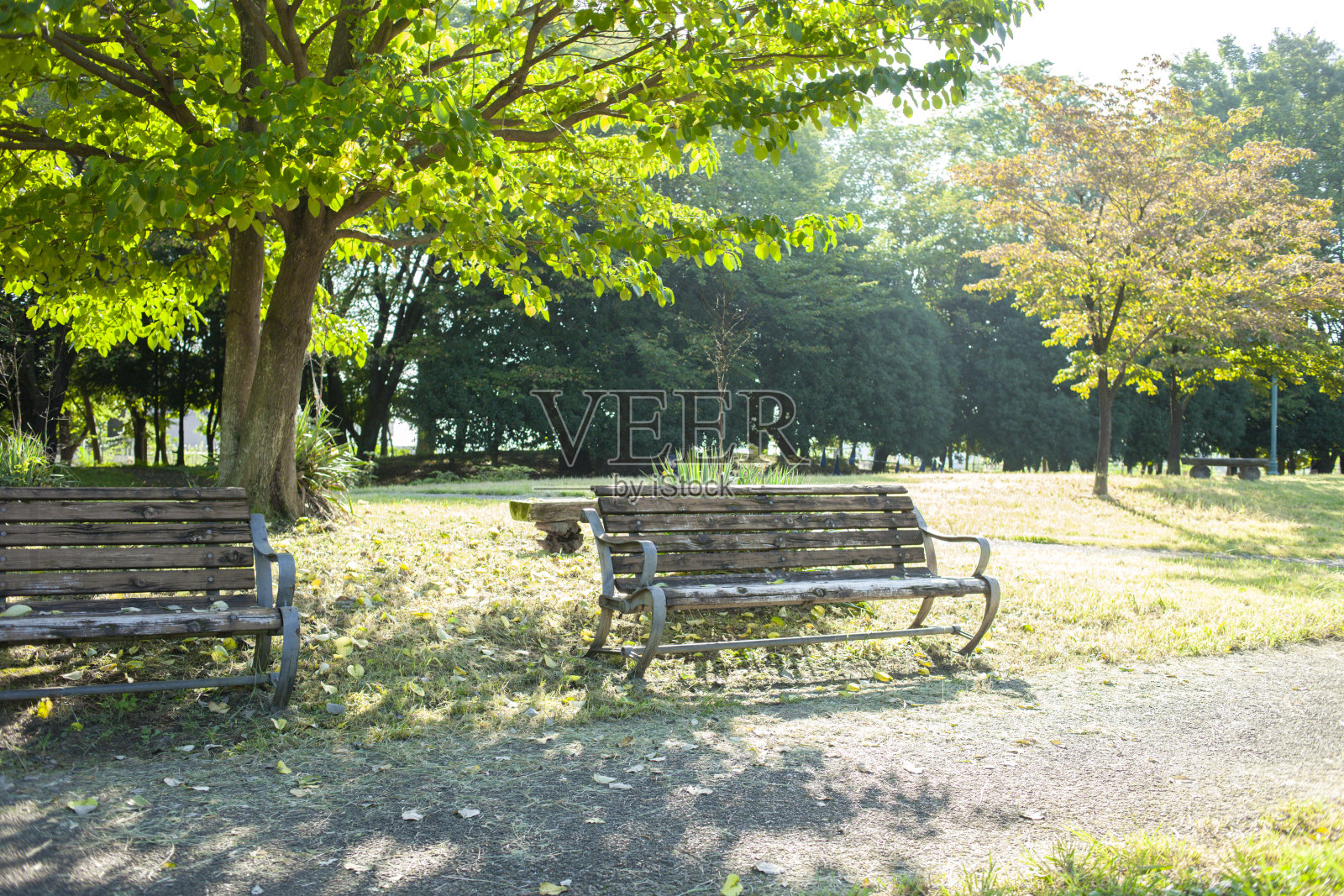 公园的长椅上照片摄影图片
