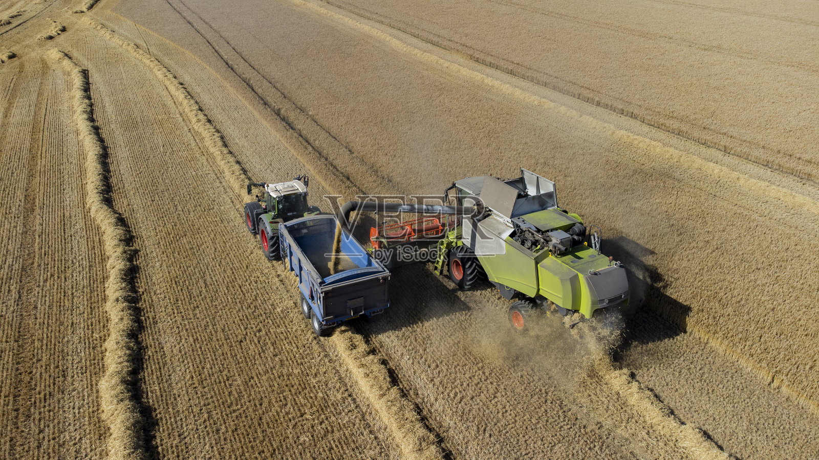 农民收获大麦照片摄影图片