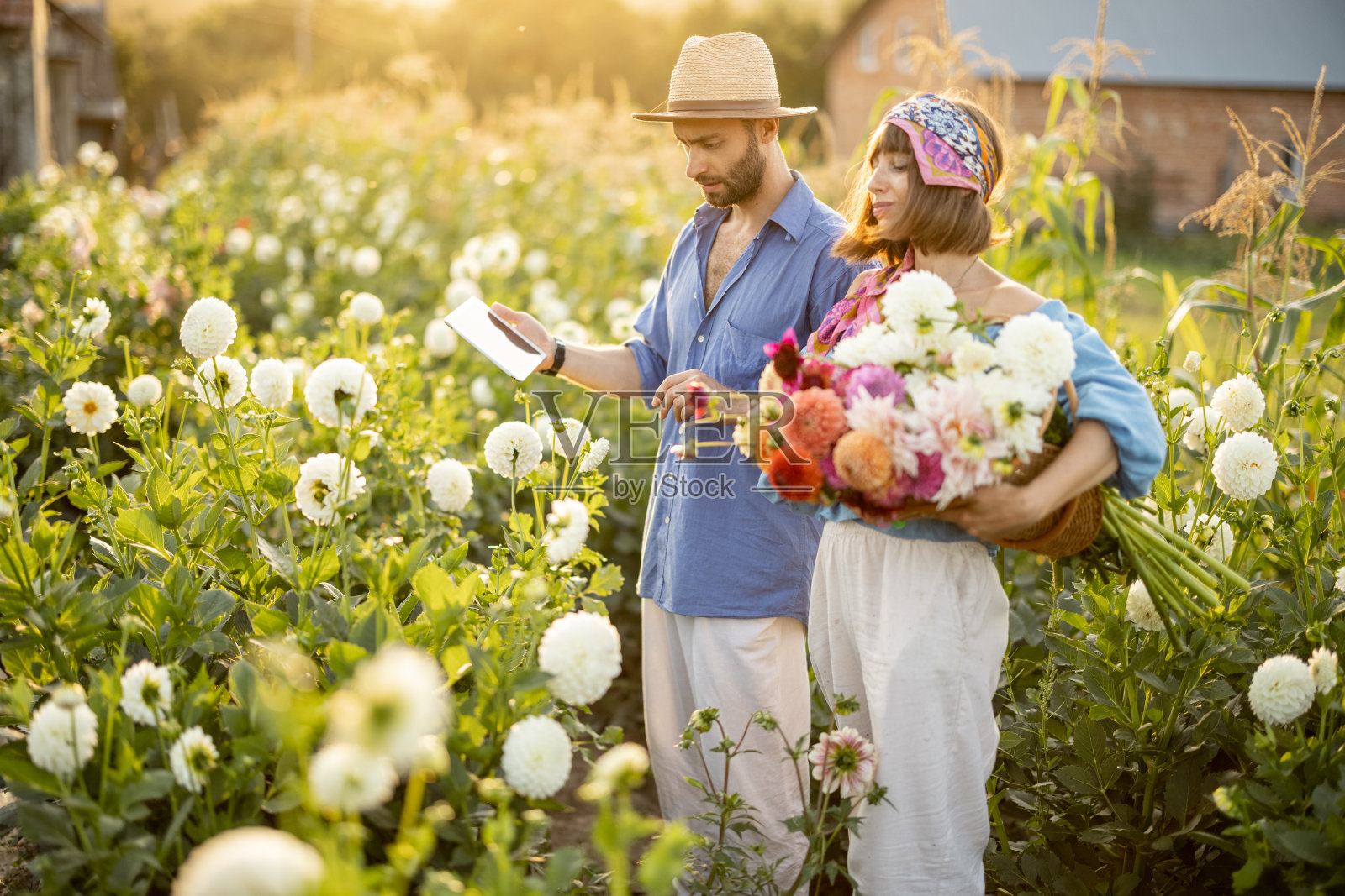 农民在户外的花场工作照片摄影图片