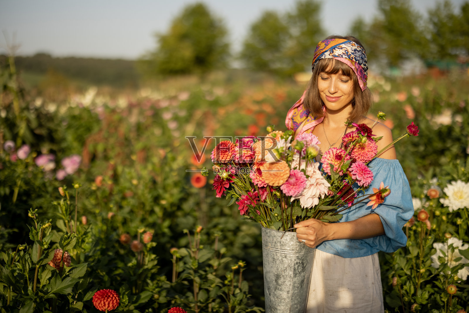 户外大丽花农场上的女子手持鲜花照片摄影图片