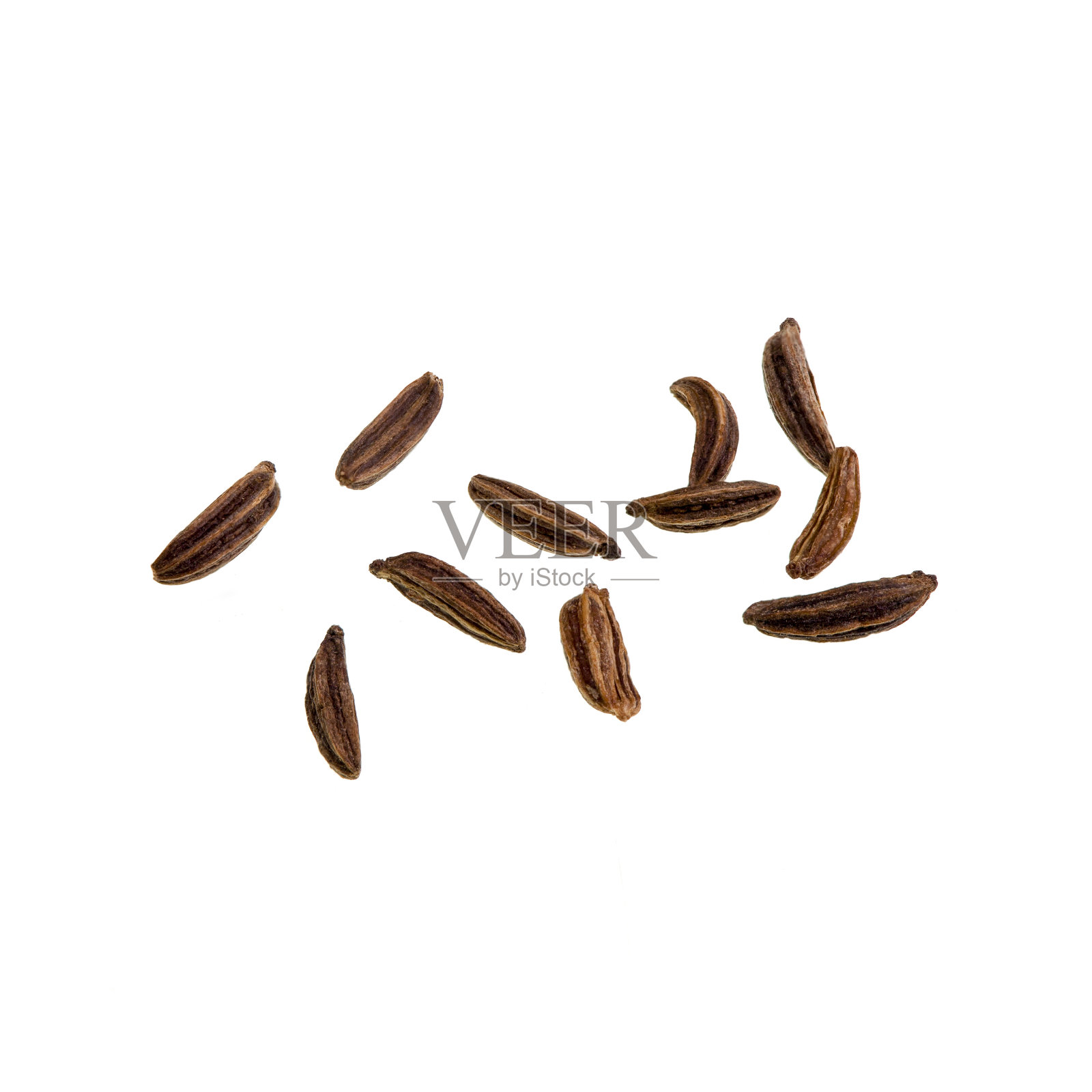 葛缕子种子照片摄影图片