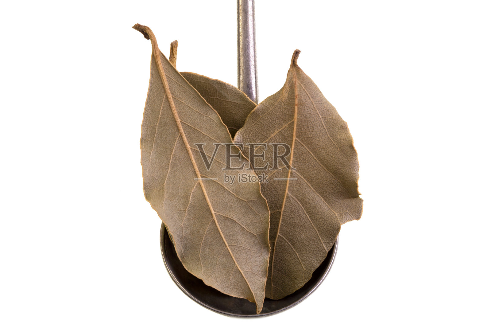 汤匙上的月桂叶照片摄影图片