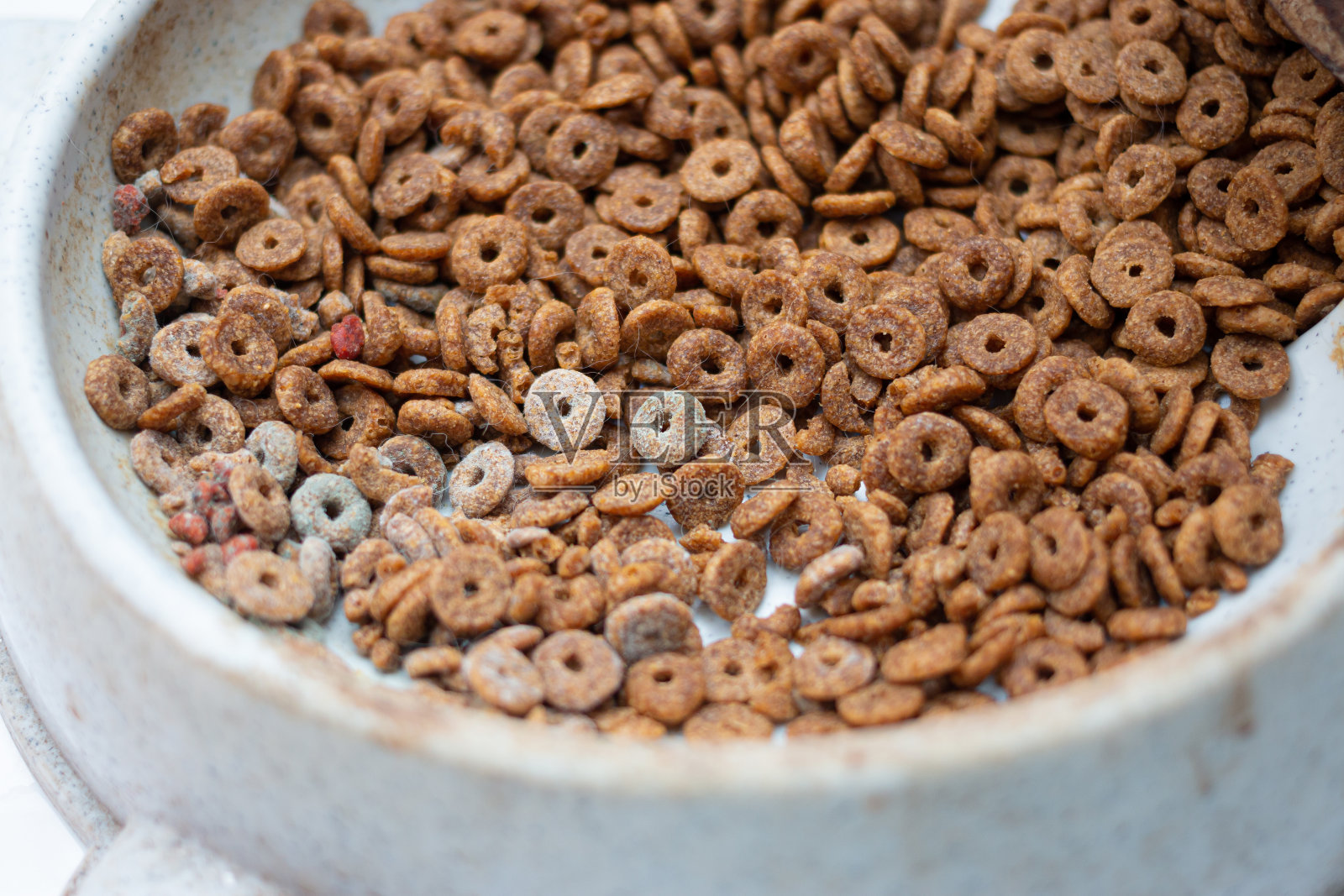 猫粮放在猫喂食器里。照片摄影图片