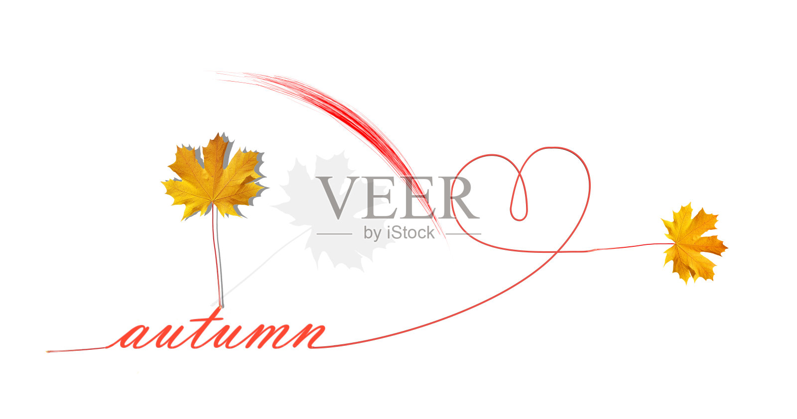 秋天的时间树叶黄色干燥像时钟指针文本和圆形曲线线隔离的季节背景- 3d渲染照片摄影图片