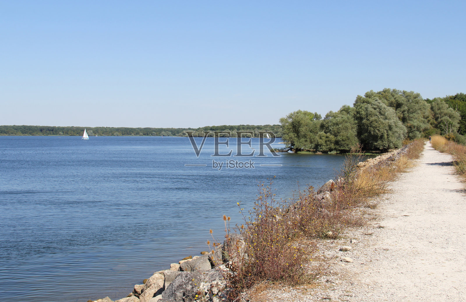 法国香槟酒大Est的香槟酒湖照片摄影图片
