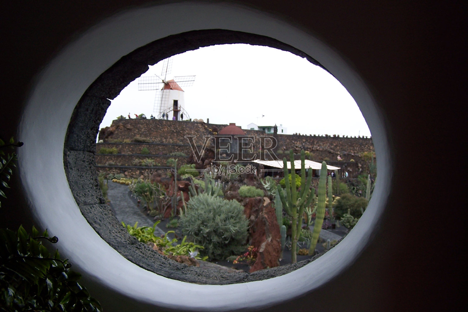 兰萨罗特的仙人掌花园照片摄影图片