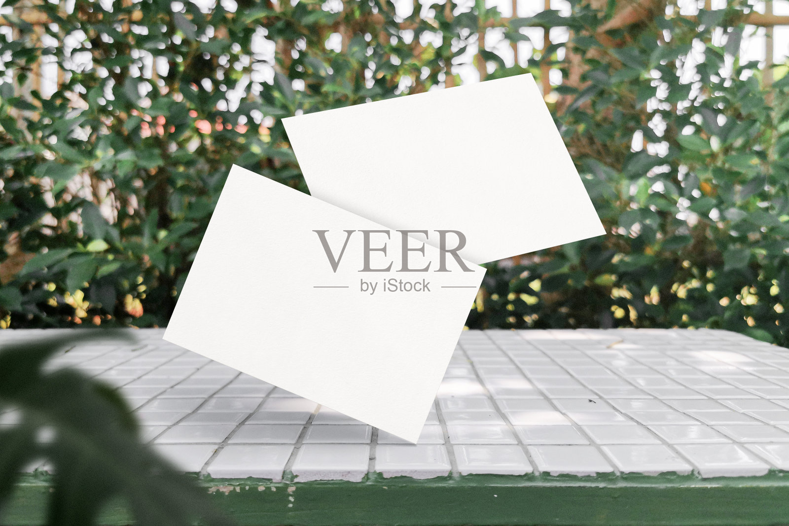 清洁最小的A5传单模型在顶部长凳的背景与树叶照片摄影图片