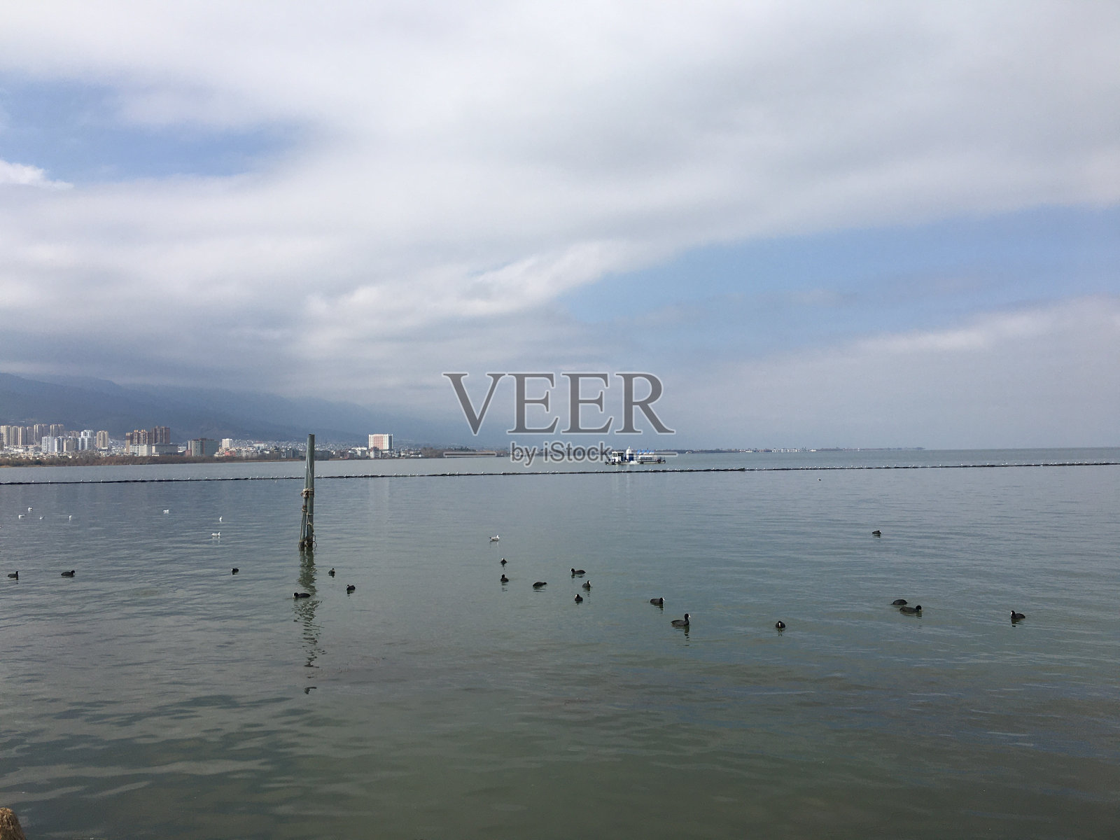 洱海白云水鸟静照片摄影图片