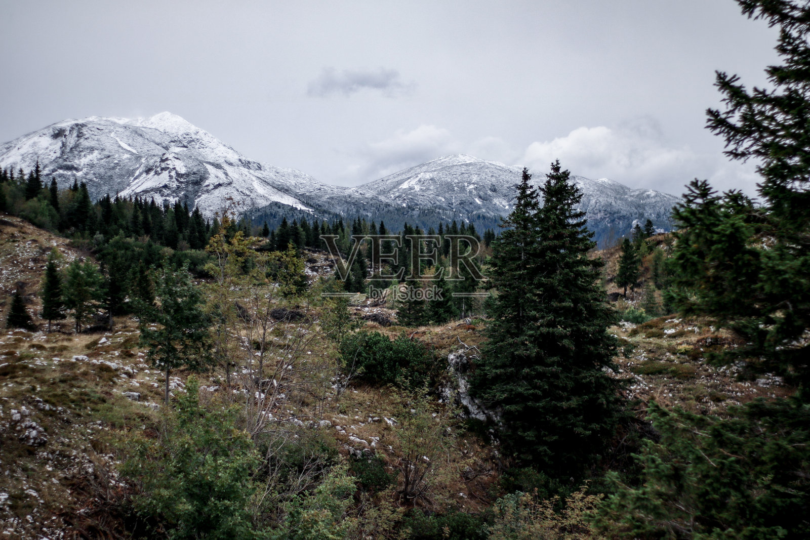 从斯洛文尼亚的Velika planina看雪山照片摄影图片
