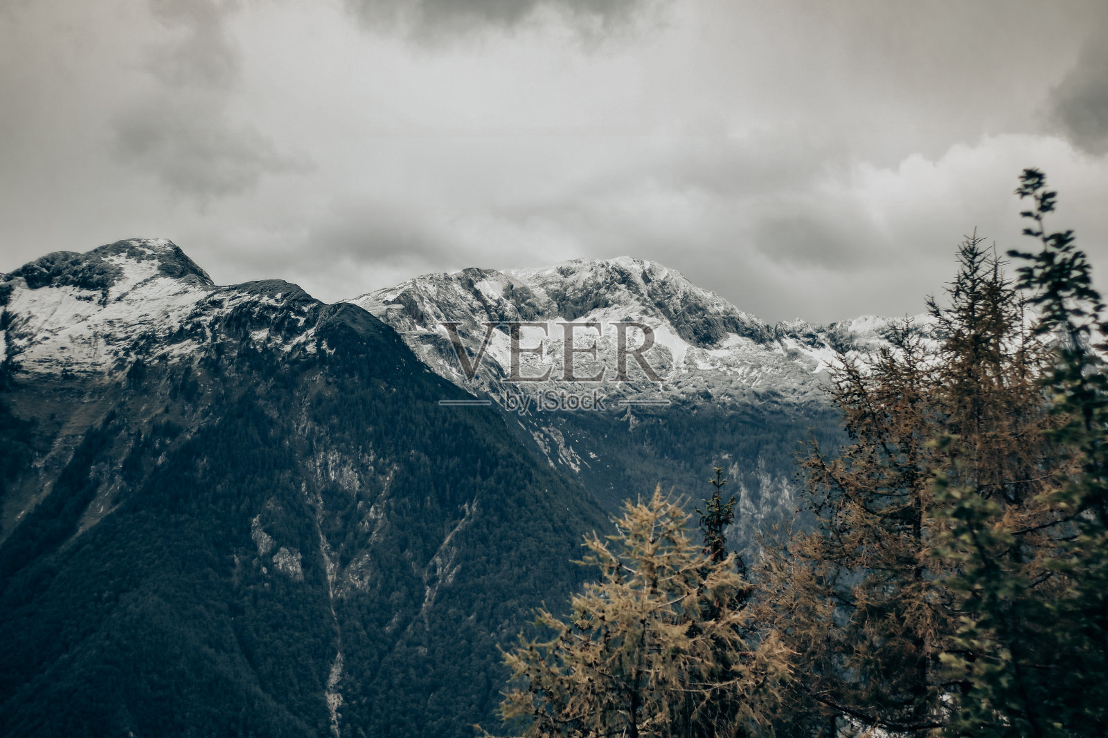 从斯洛文尼亚的Velika planina看雪山照片摄影图片