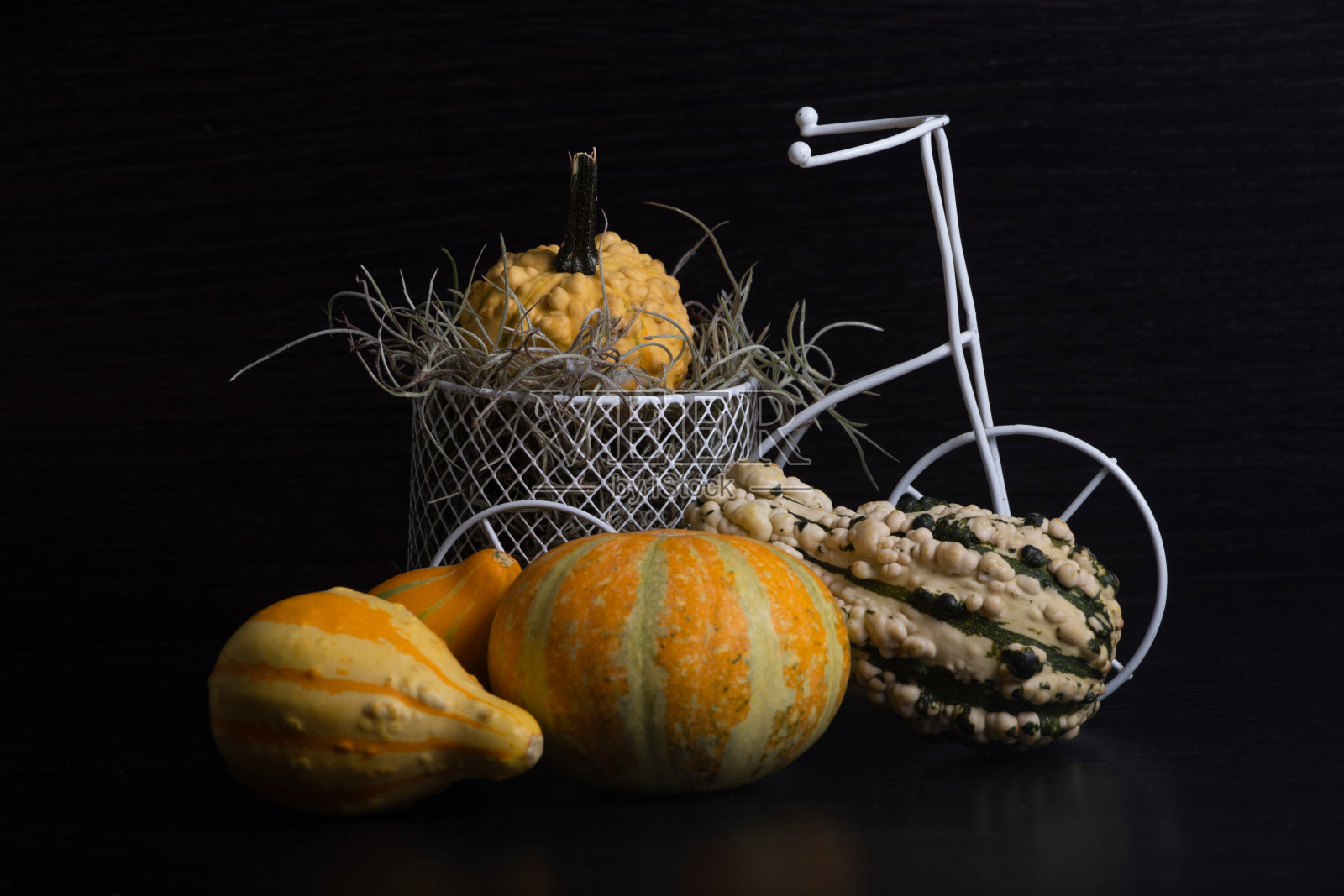 各种颜色和外形的迷你南瓜，黑色的背景和装饰照片摄影图片