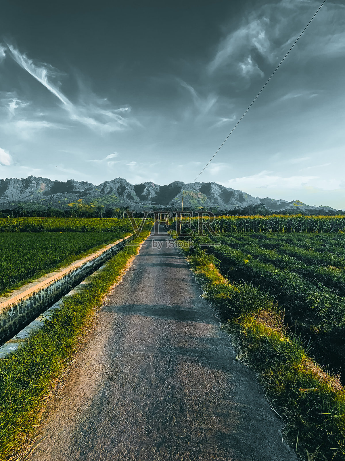 路照片摄影图片