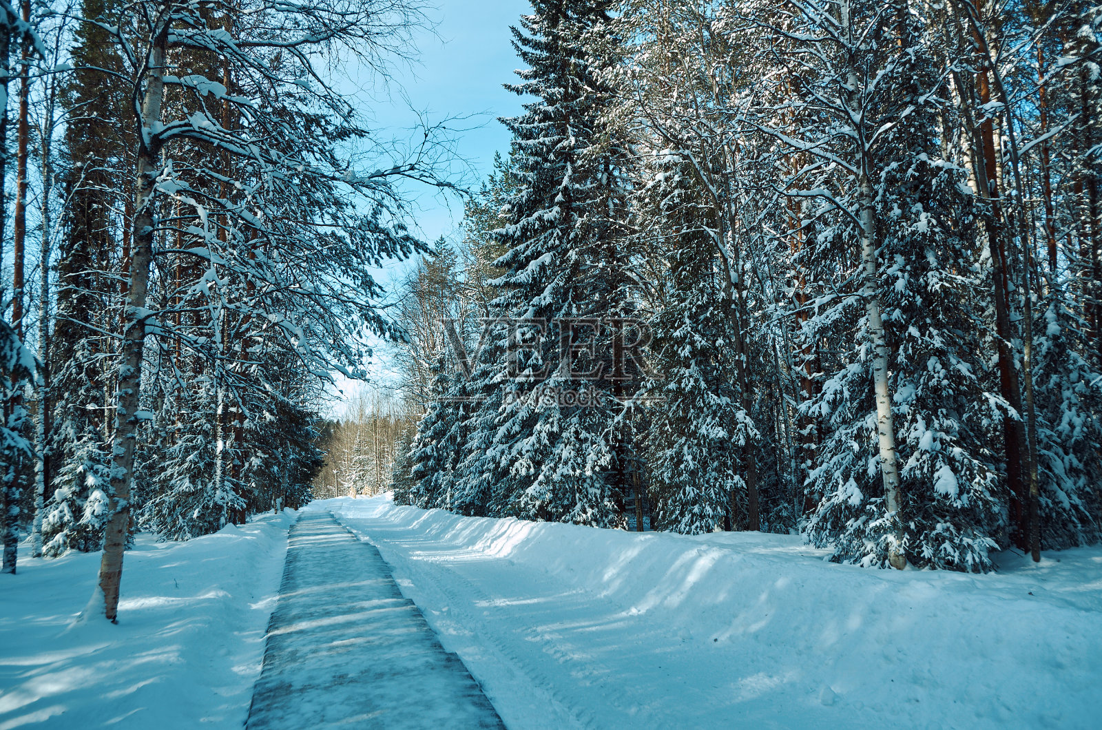 冬天农村景观照片摄影图片