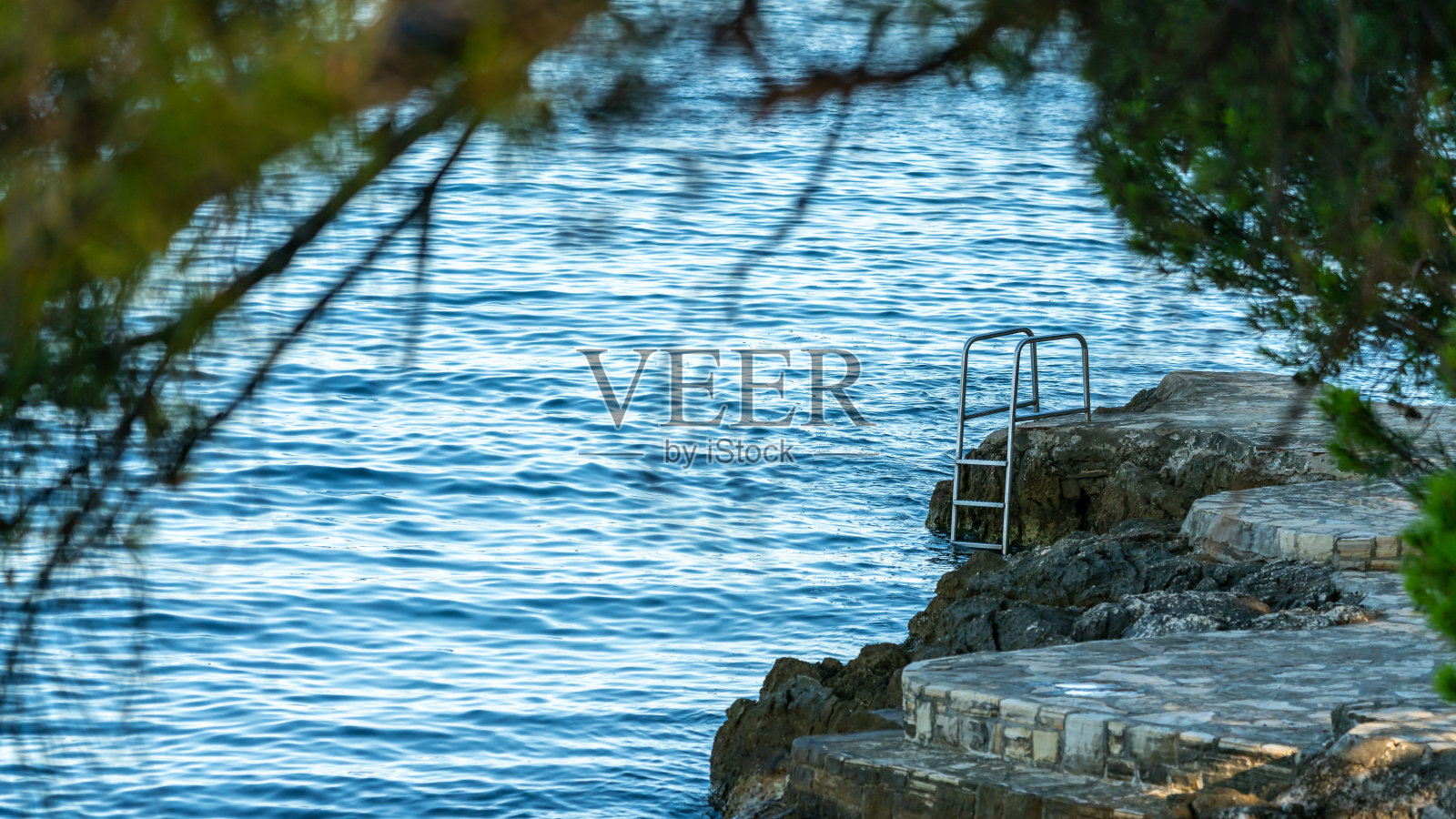 有一架梯子通向海里游泳照片摄影图片