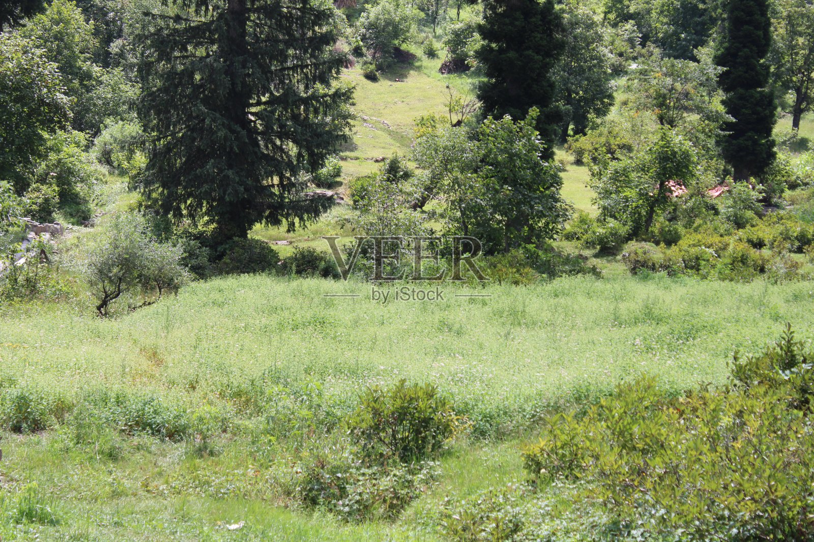 克什米尔尼勒姆谷看不见的自然美照片摄影图片