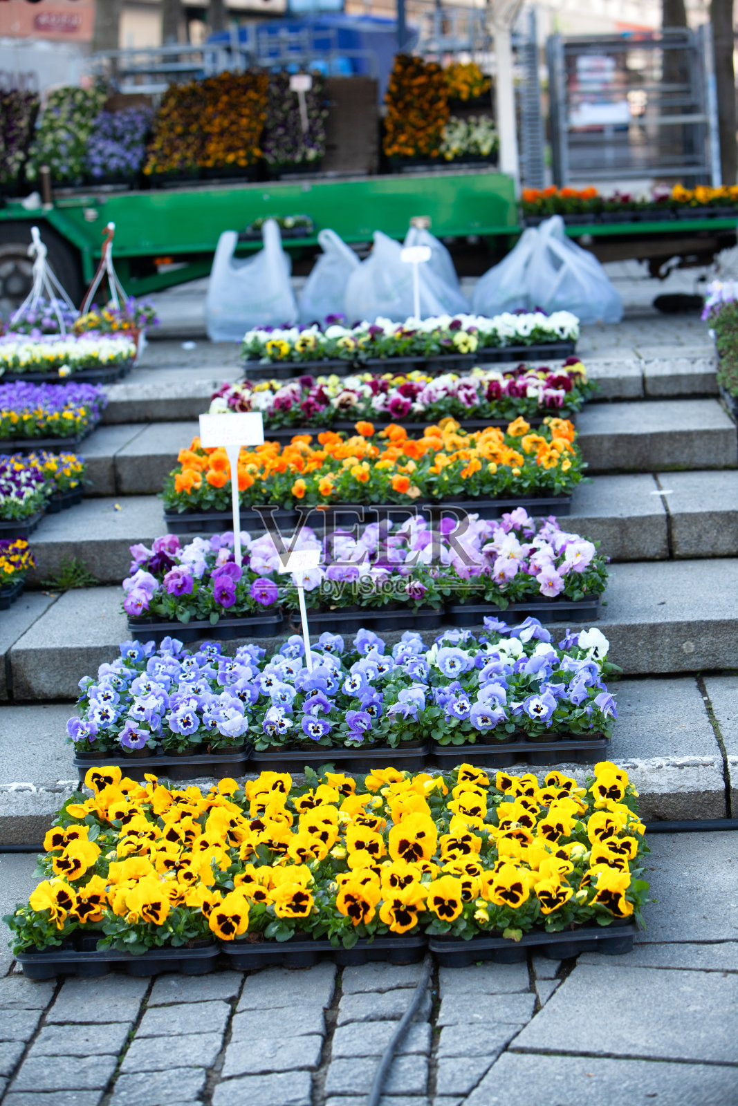 白天和黑夜的阴影照片摄影图片