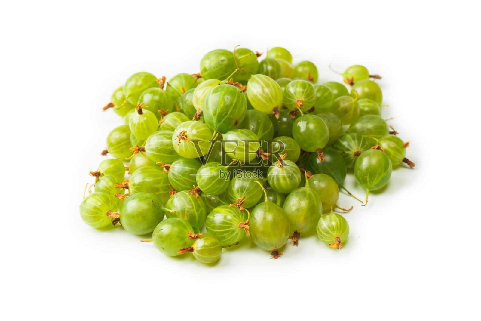 一群孤立在白色背景上的醋栗。照片摄影图片