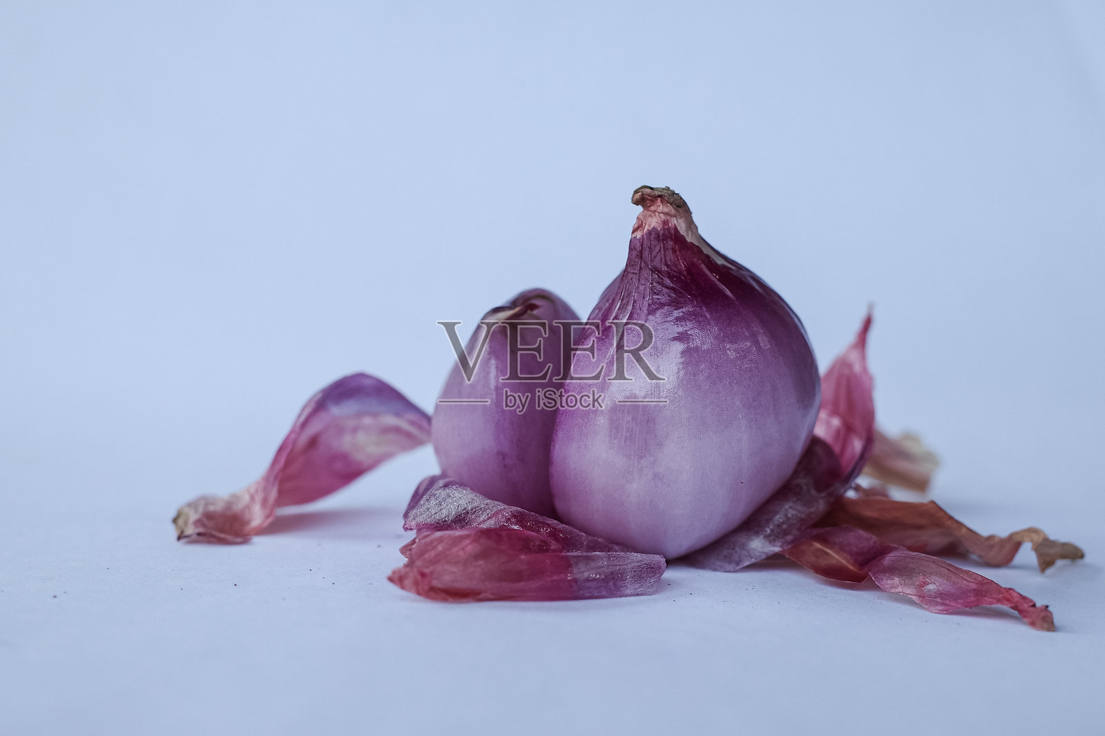 红洋葱照片摄影图片