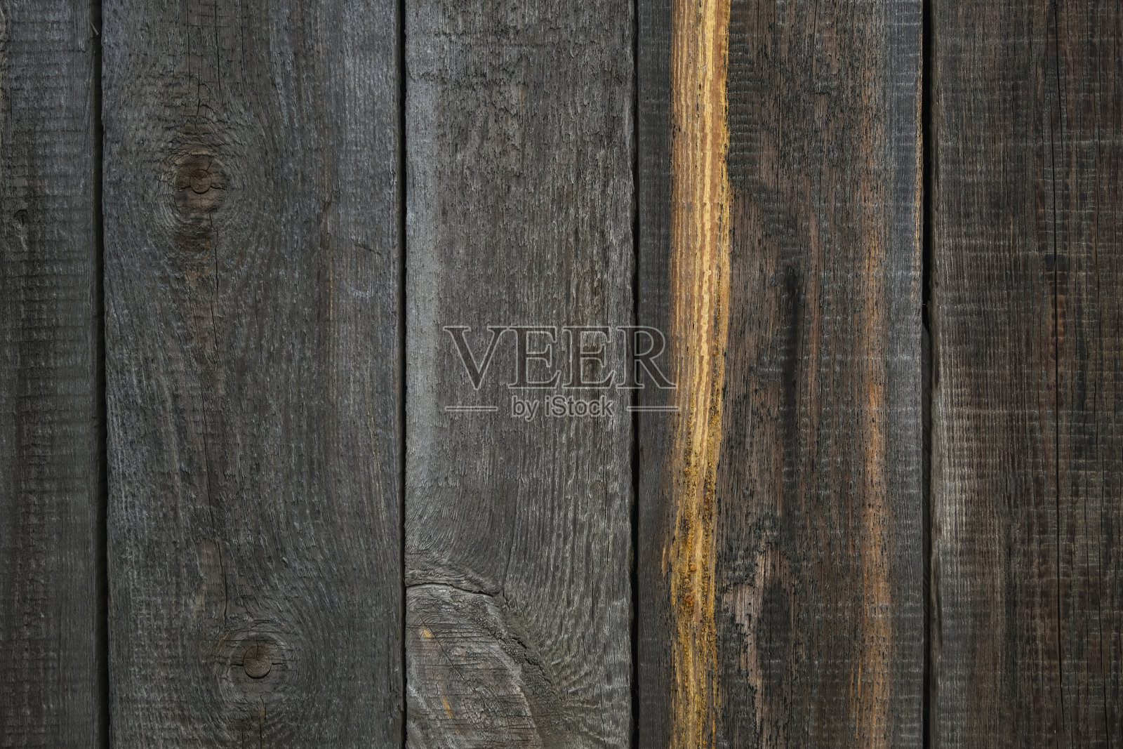 木质的纹理和垂直的线条。有结和洞的木头质地。背景是被时间损坏的木栅栏。长满苔藓的树的纹理。照片摄影图片