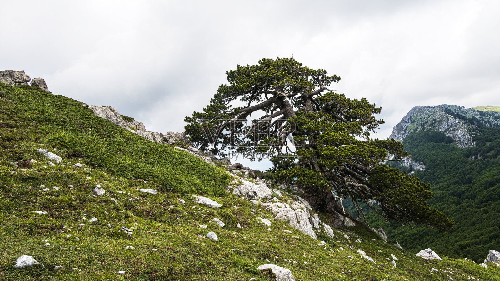 波里诺国家公园内的神之花园照片摄影图片