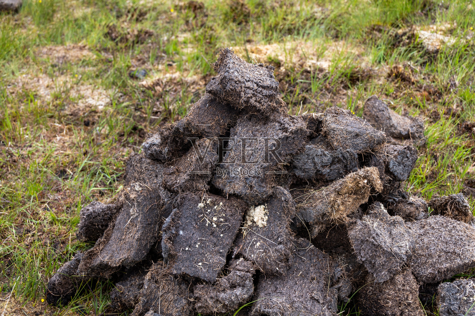 赫布里底群岛的泥炭或草皮开采照片摄影图片