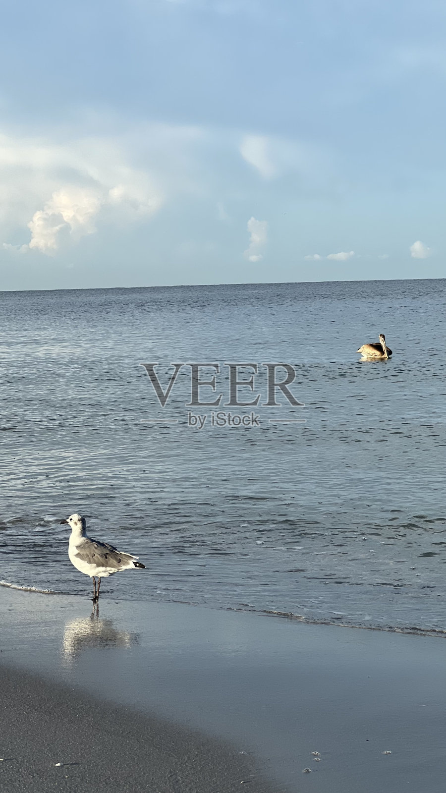 海滩上宁静的早晨照片摄影图片