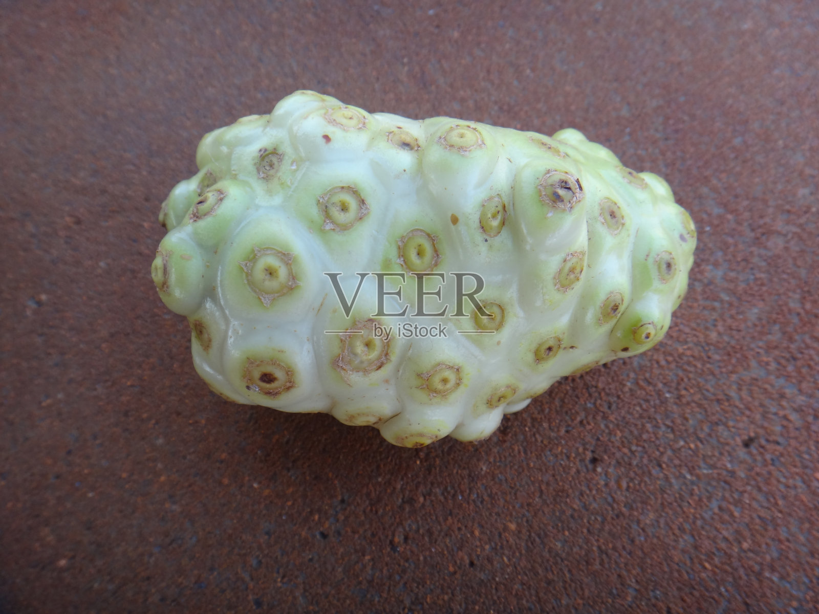 地上的印度黑莓的离体果实。照片摄影图片