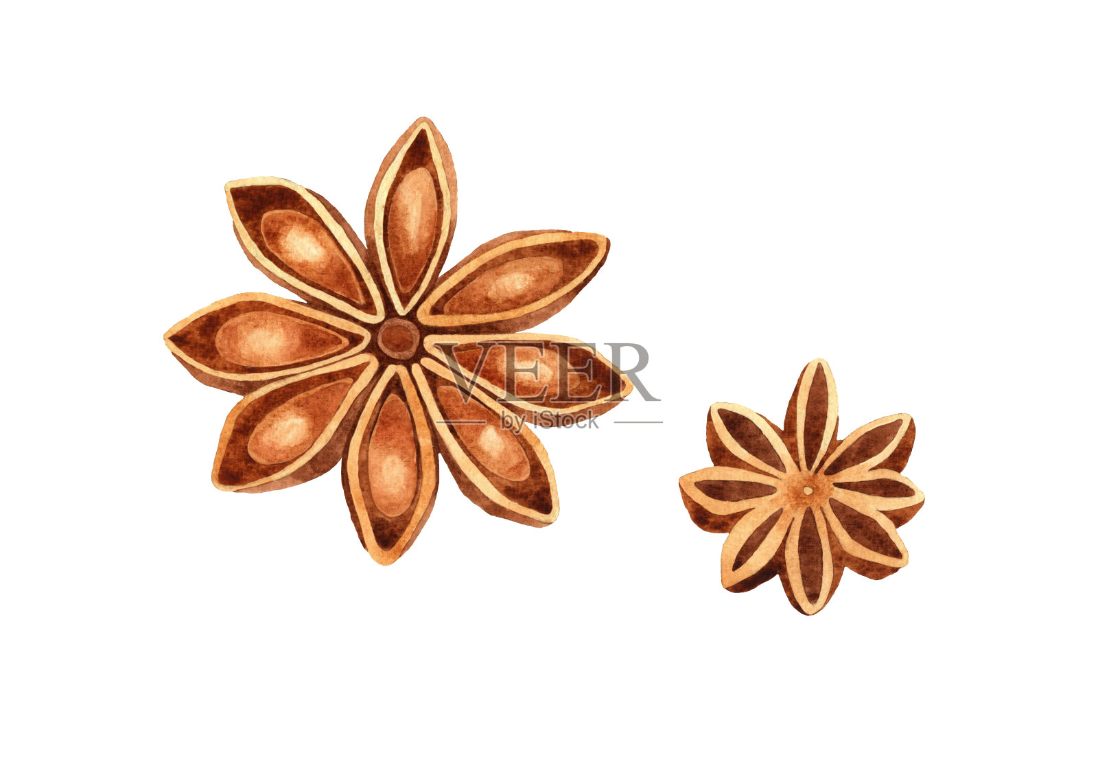 水彩画与八角星星插图。手绘香料隔离在白色背景。插画图片素材