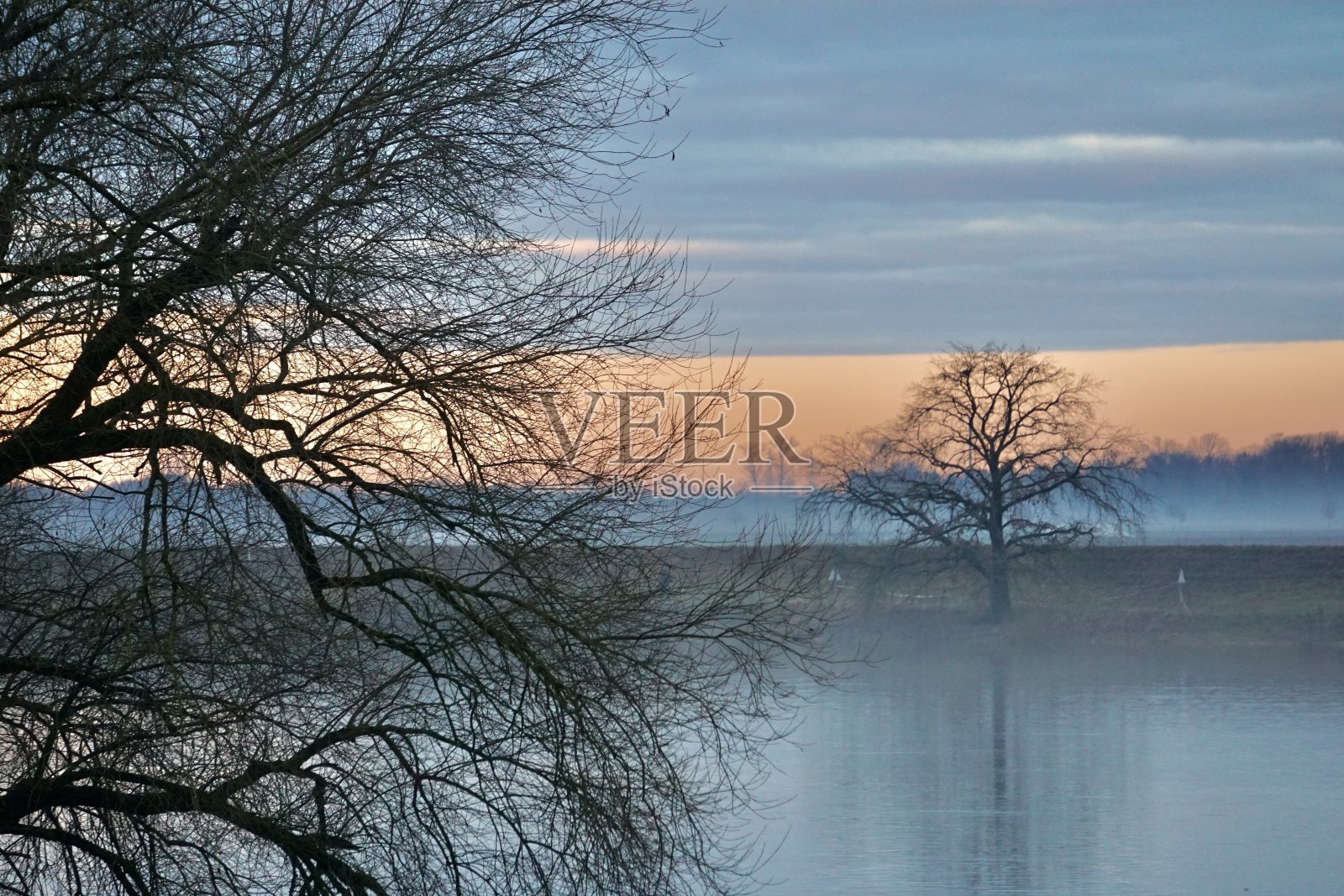 巴伐利亚州雾蒙蒙的早晨。河岸上雾蒙蒙的早晨。光秃秃的树木、田野和雾中杂乱的小路。巴伐利亚州一个村庄的灰粉色黎明。照片摄影图片