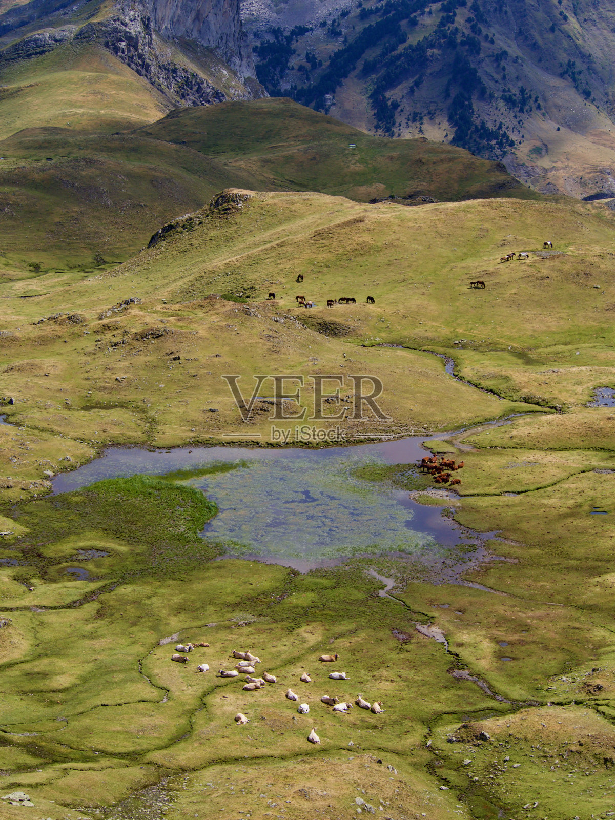 奥绍峰照片摄影图片