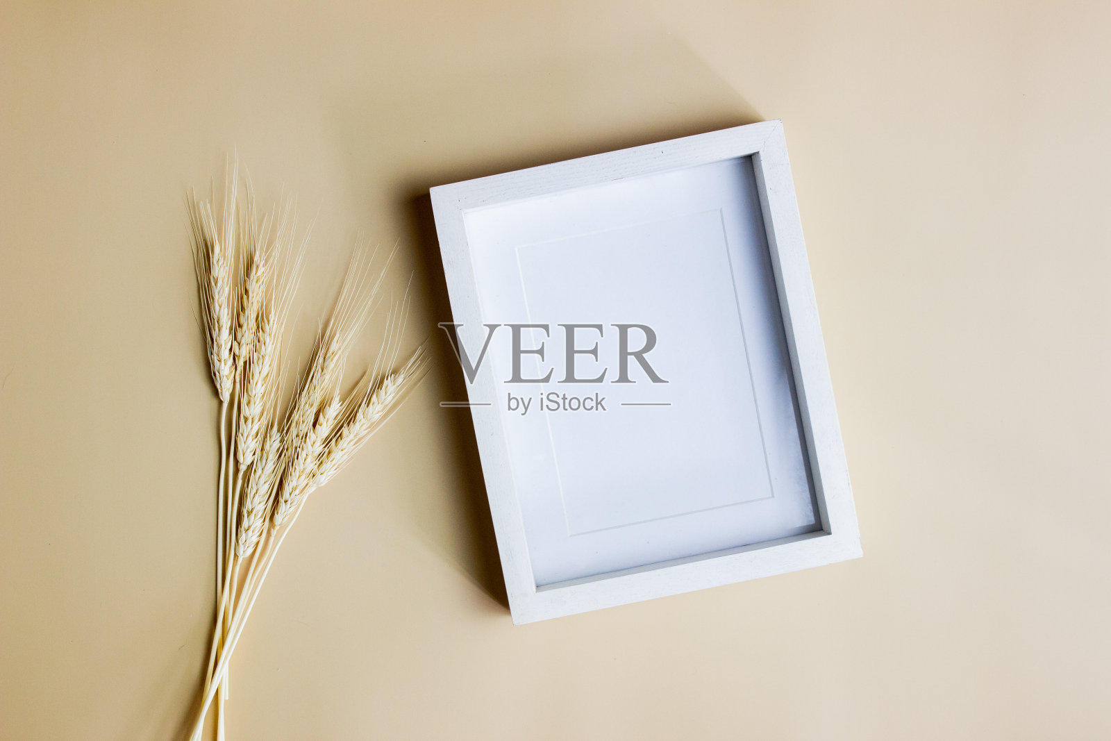 棕色的自然花朵与白色的木框在棕色的背景。照片摄影图片