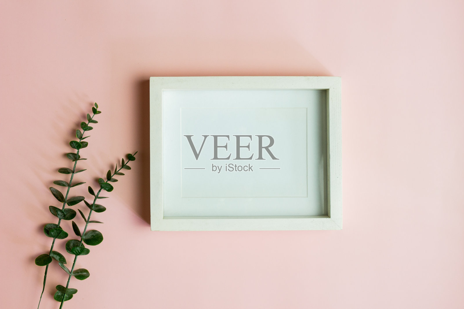 一个白色的相框，粉色的背景是绿色的树叶。照片摄影图片