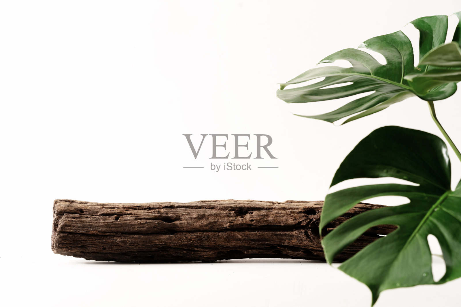 木质产品展示台，采用天然绿叶进行展示设计照片摄影图片