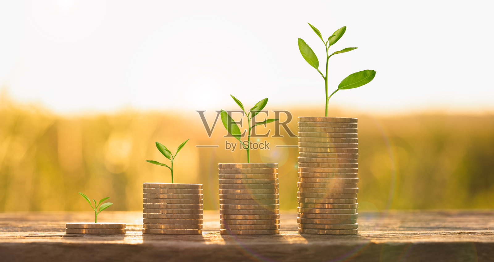 投资，增长资金，储蓄资金，贷款，商业，金融，退休，税收概念。不断增长的硬币堆叠在一起的图形，上面有一株植物，背景是伟大的户外照片摄影图片