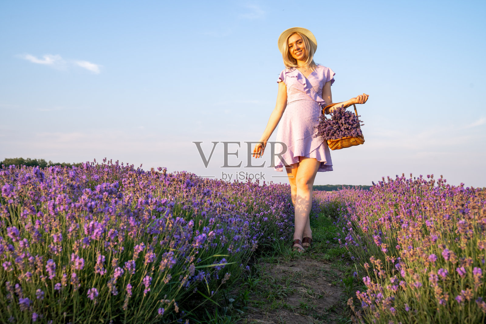 时尚美丽的年轻女子戴着帽子，穿着淡紫色的连衣裙，手持木篮子与鲜花在薰衣草田。美和幸福的概念。配色趋势是紫丁香和紫罗兰。照片摄影图片