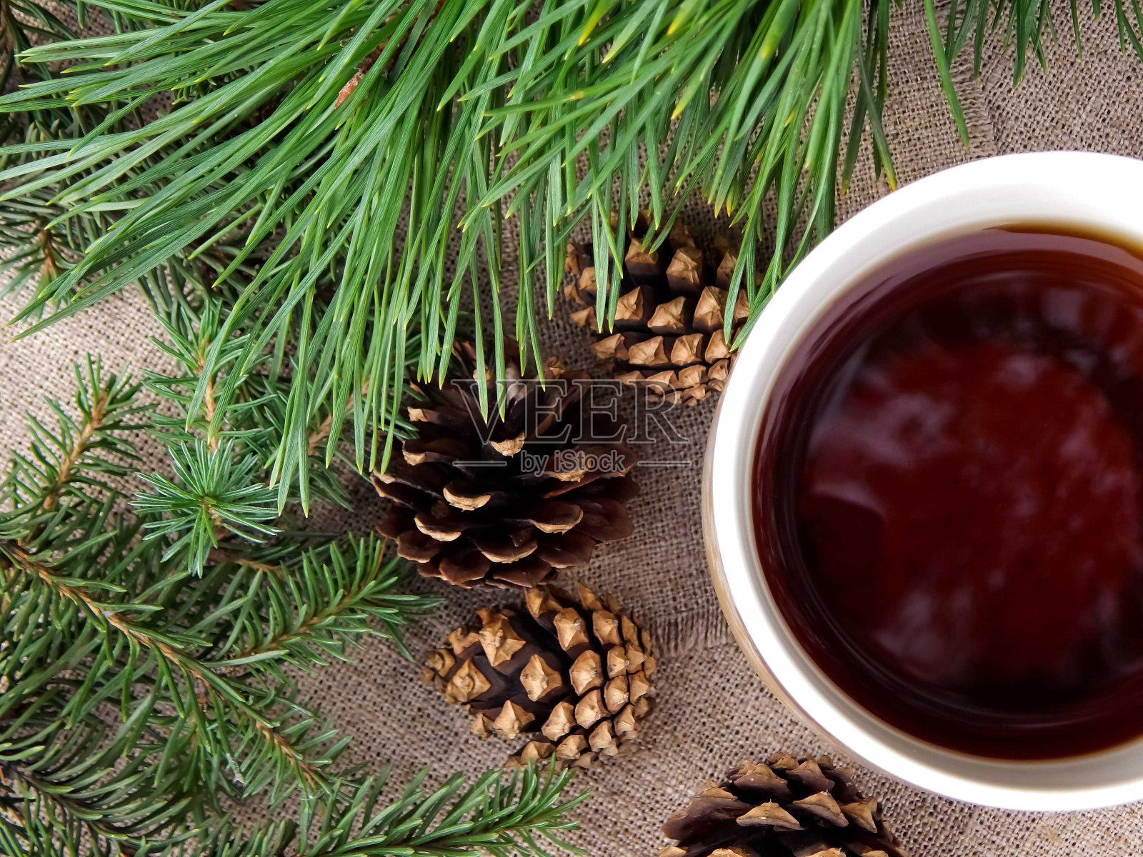 大自然中的圣诞茶会照片摄影图片
