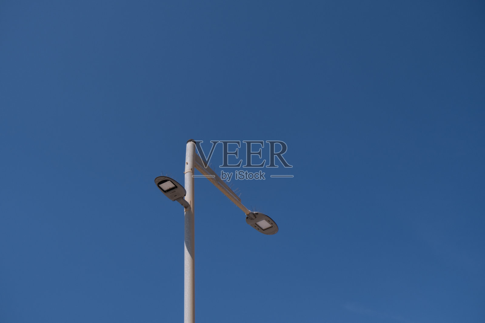 新型节能led路灯，保护鸽子照片摄影图片