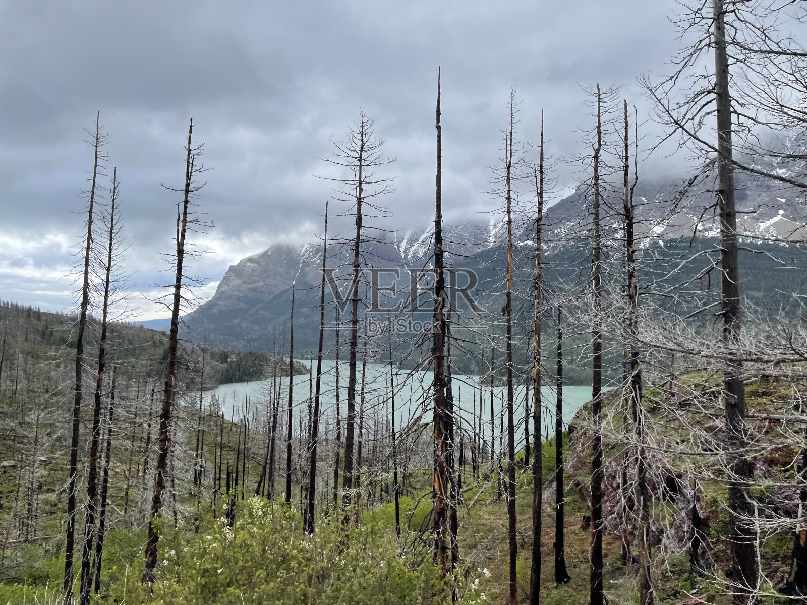 冰川国家公园风景区照片摄影图片