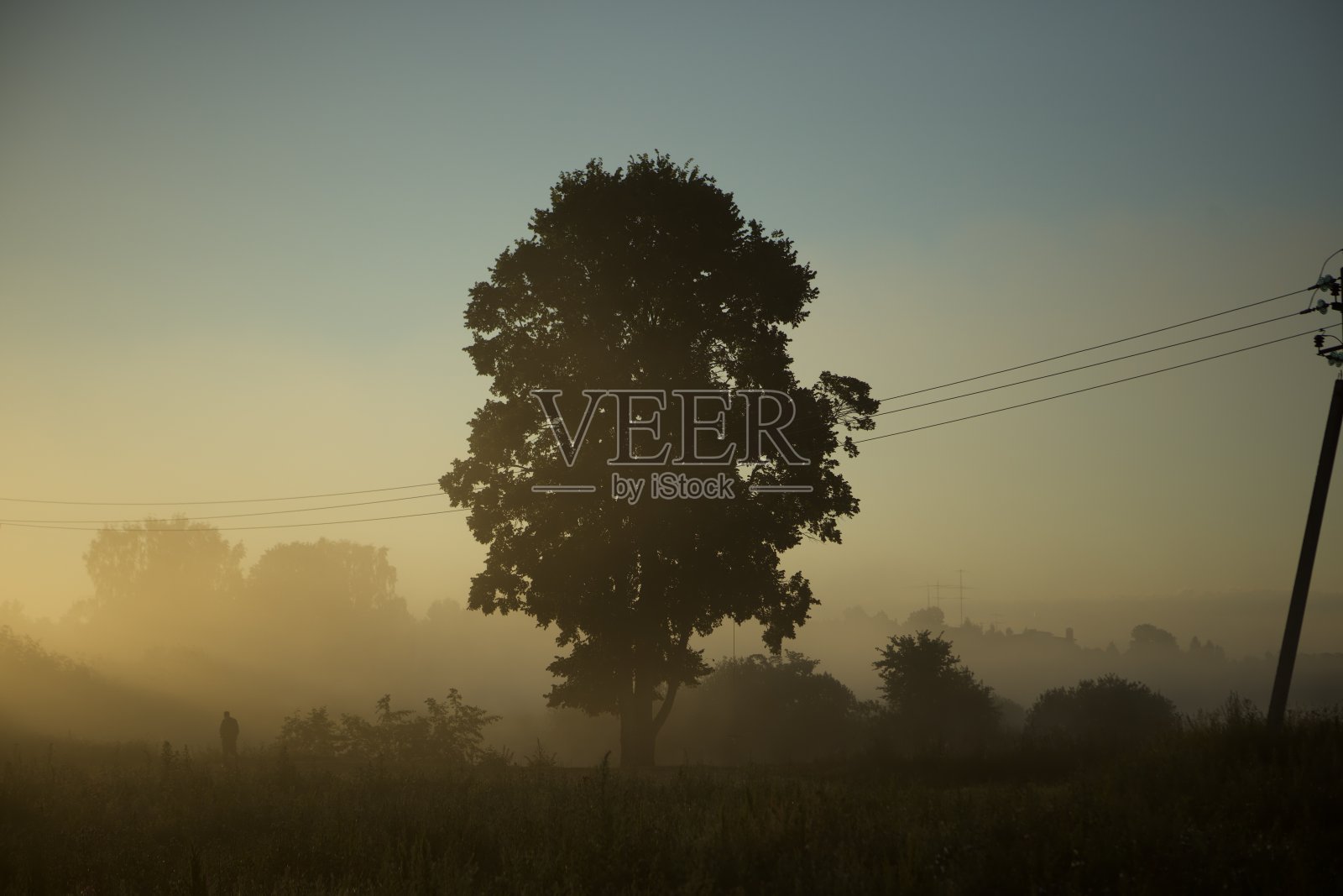 早....照片摄影图片