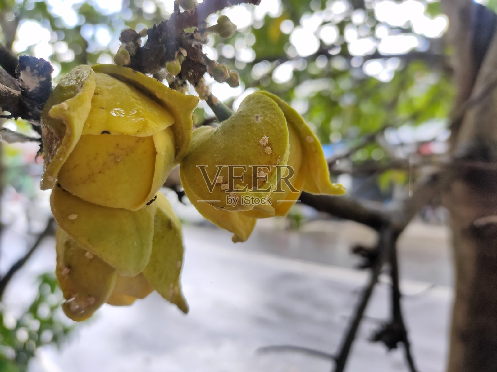 准备开照片摄影图片