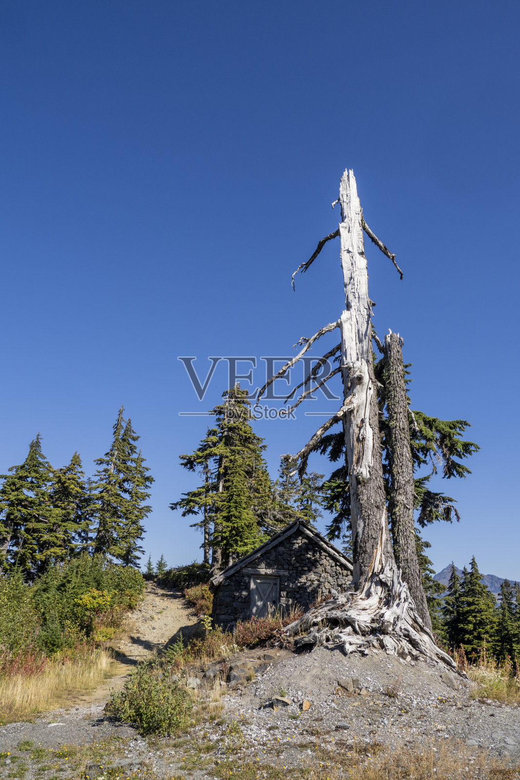 画湖景观照片摄影图片