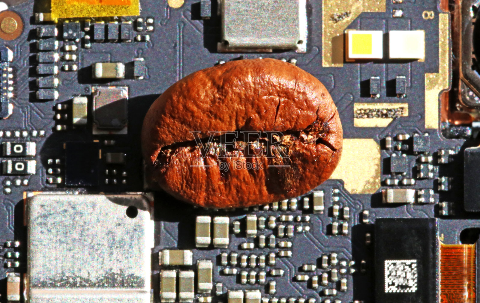 微芯片板上的咖啡豆照片摄影图片