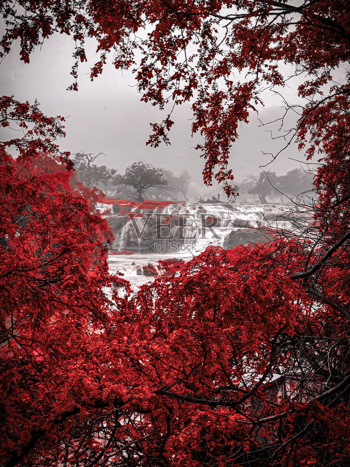 美丽的景色照片摄影图片