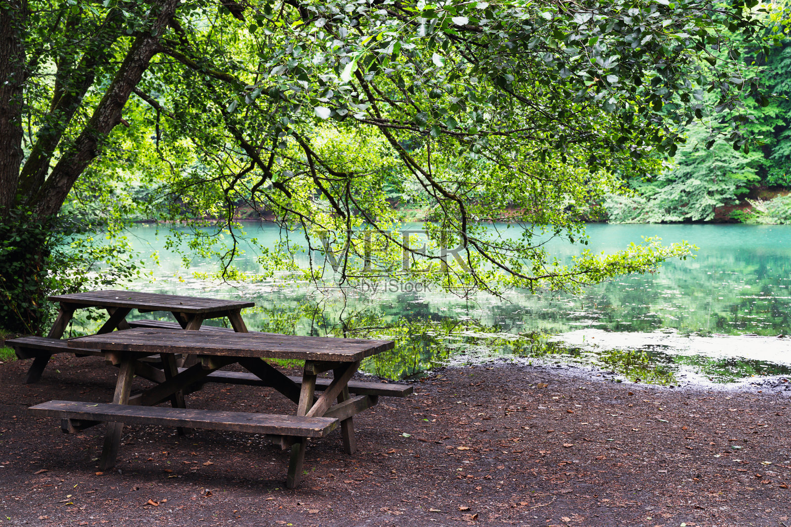 土耳其耶迪戈勒国家公园，森林环绕的湖边的木长椅照片摄影图片