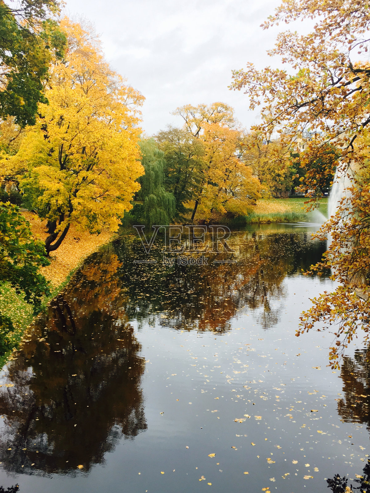 秋天照片摄影图片