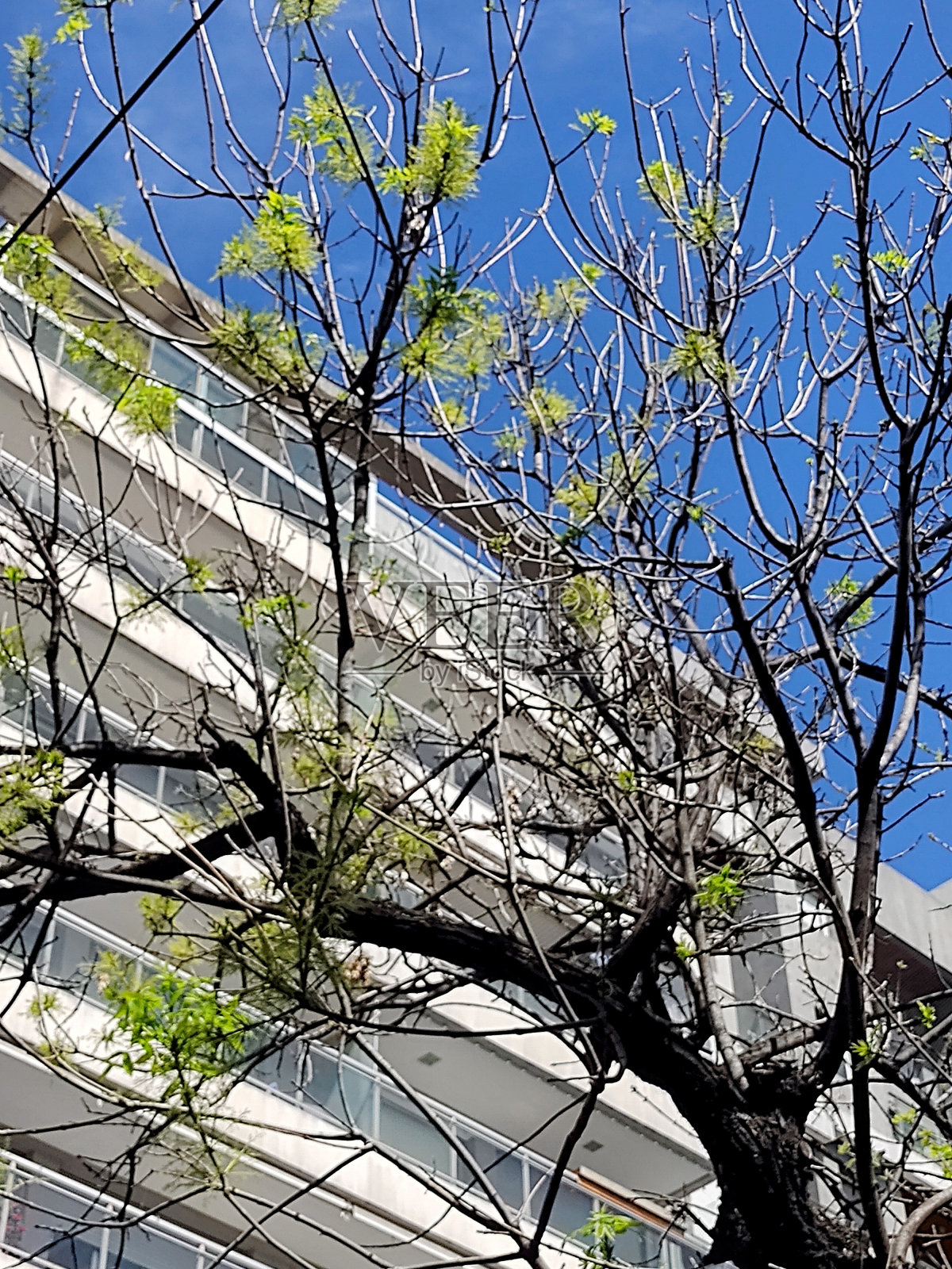 住房照片摄影图片