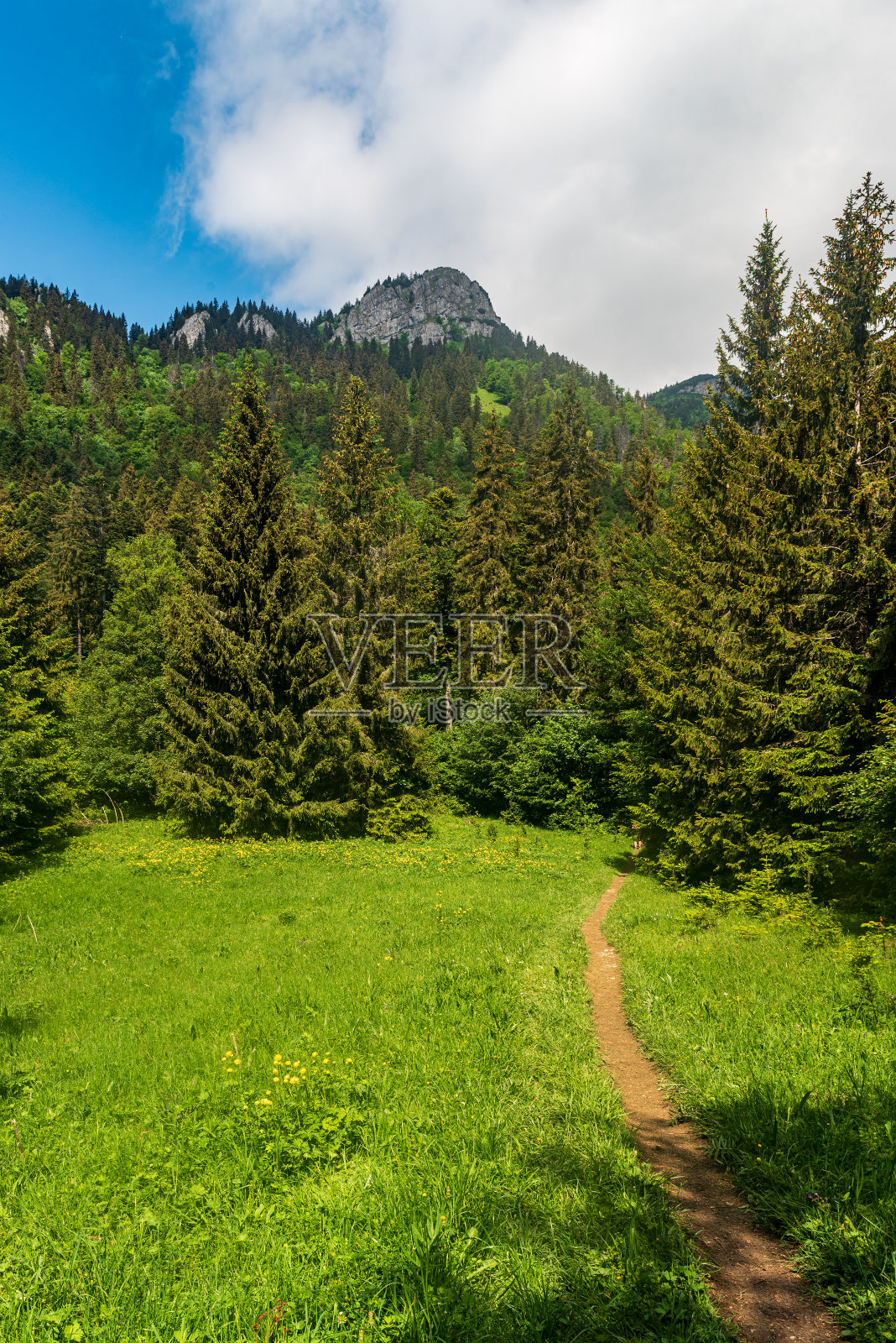 Velky Choc山，位于斯洛伐克Chocske vrchy山幸运村上方Zimerova草地上照片摄影图片