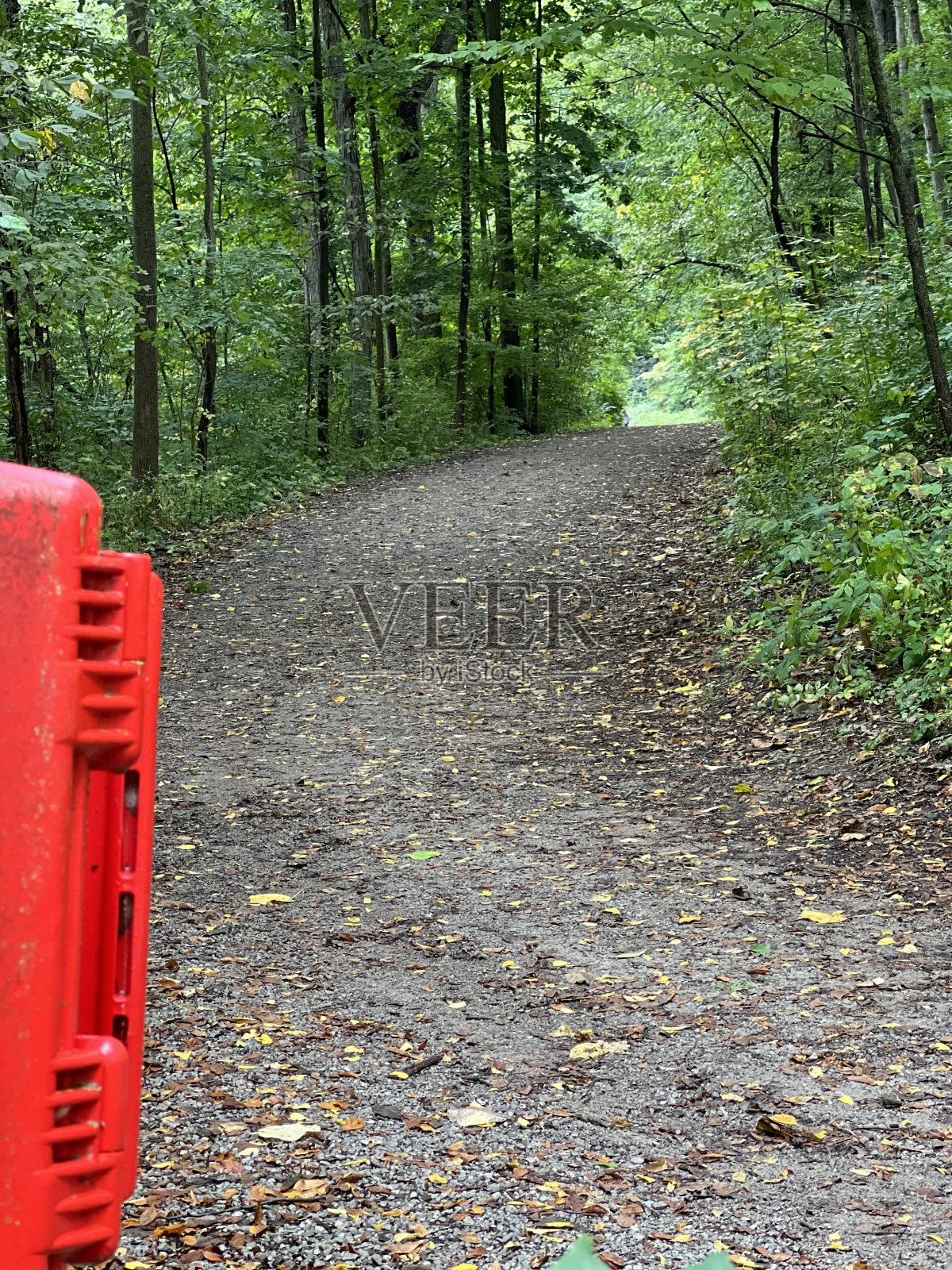 路径照片摄影图片