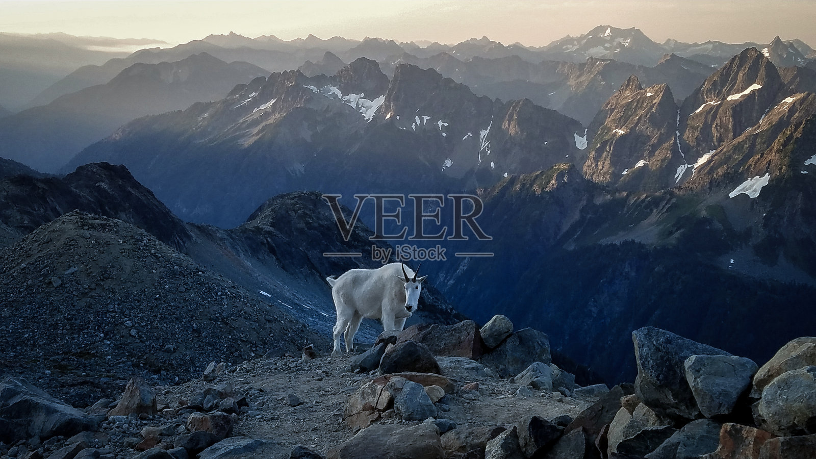 在山顶的清晨照片摄影图片