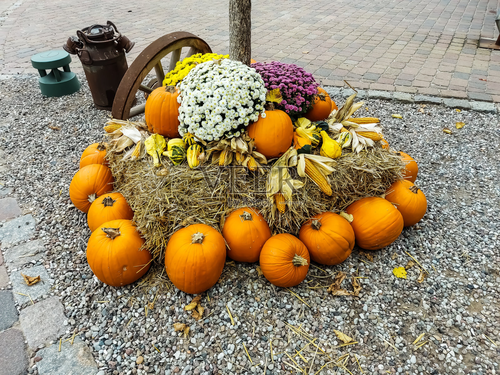 秋天装饰在草包和植物和一个大马车车轮照片摄影图片